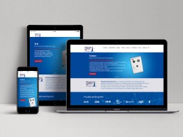 Phoenix Dosimetry website design Surrey