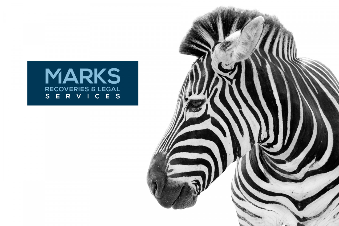 Website design agency in Brighton and Epsom